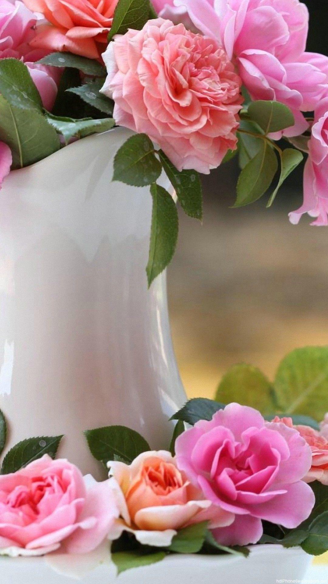 Rose Flowers iPhone 6 Wallpapers Top Free Rose Flowers iPhone 6 Backgrounds WallpaperAccess