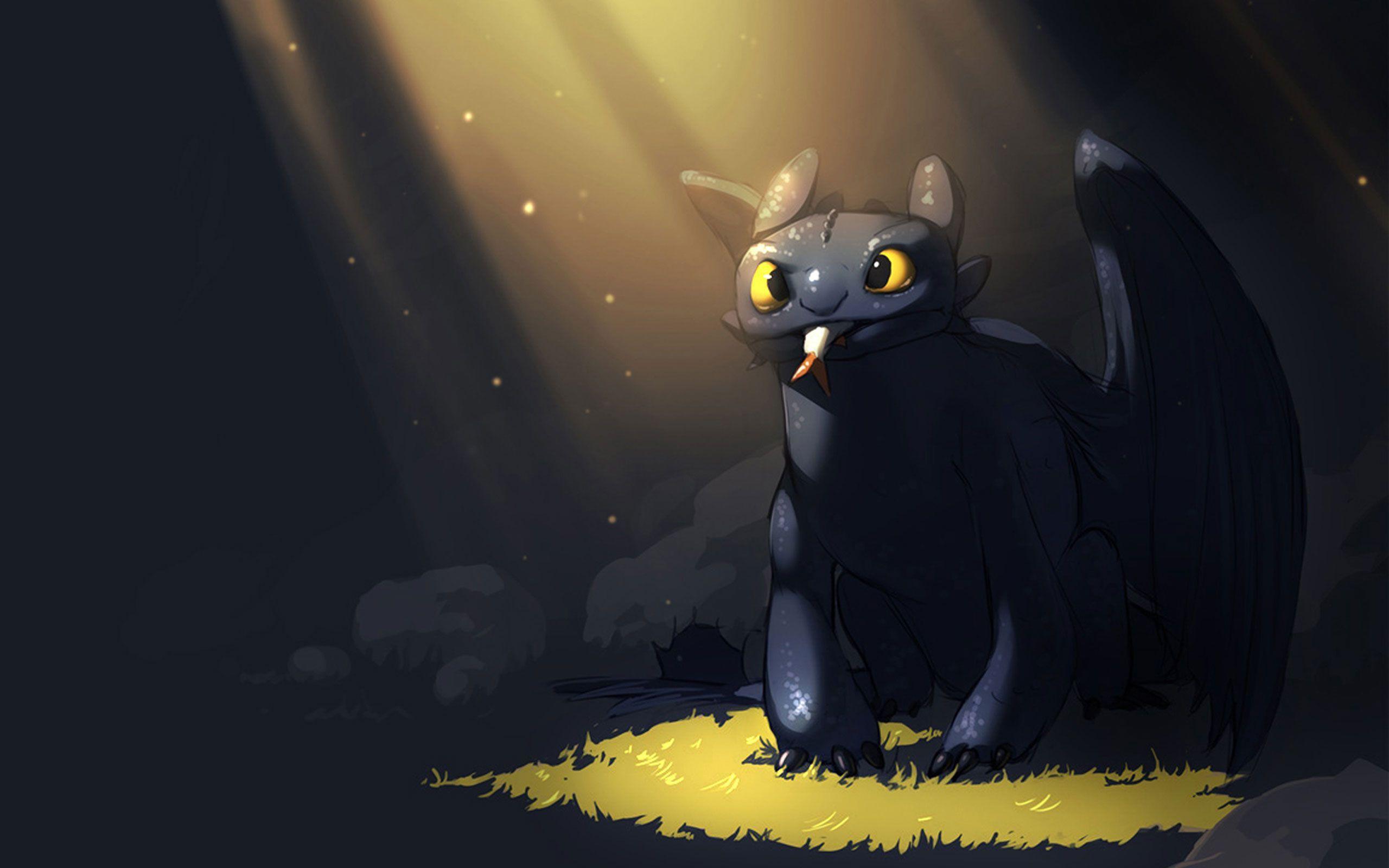 Toothless Dragon Wallpapers Top Free Toothless Dragon Backgrounds