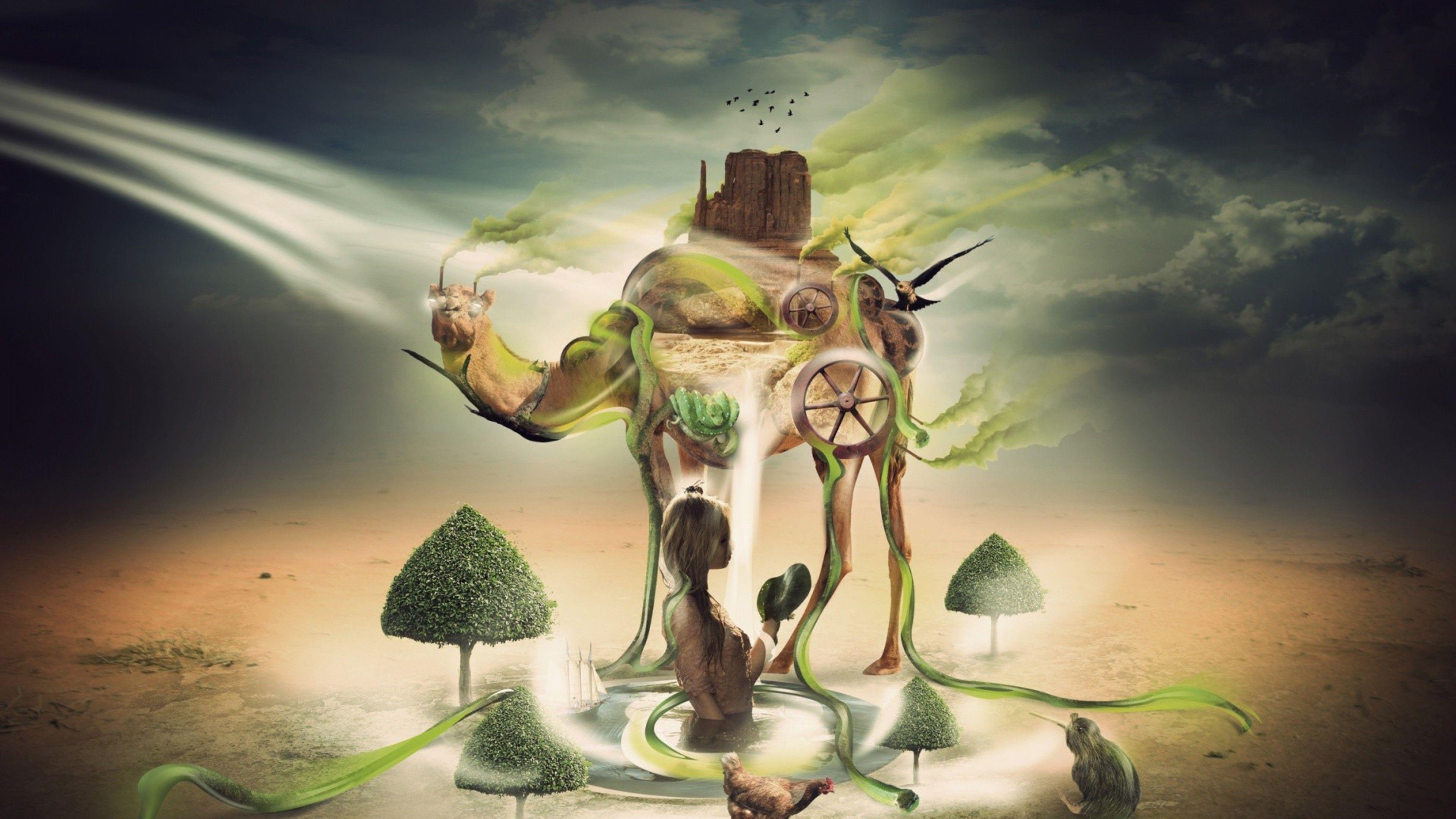 Creative Art Wallpapers Top Free Creative Art Backgrounds