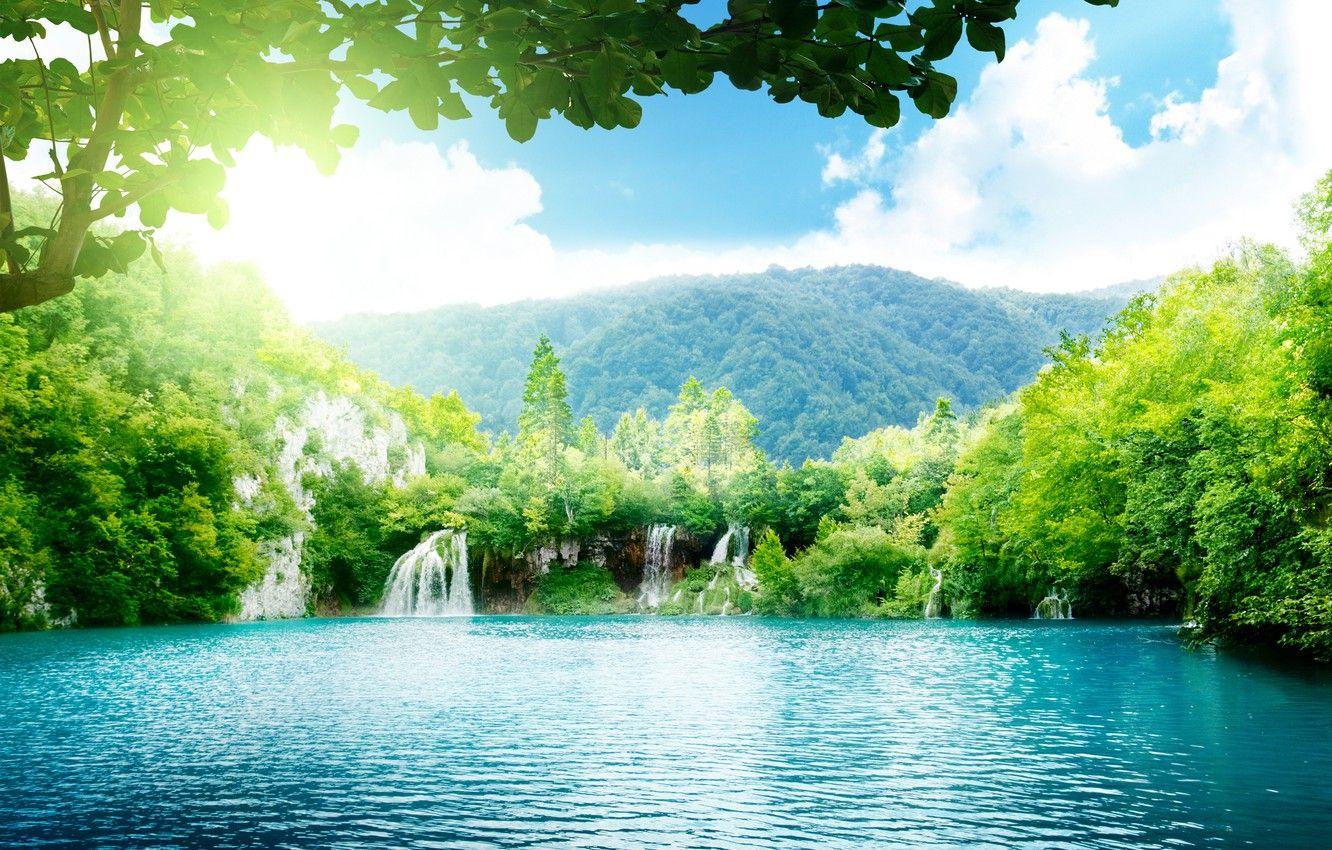 Jungle Sky Wallpapers Top Free Jungle Sky Backgrounds WallpaperAccess