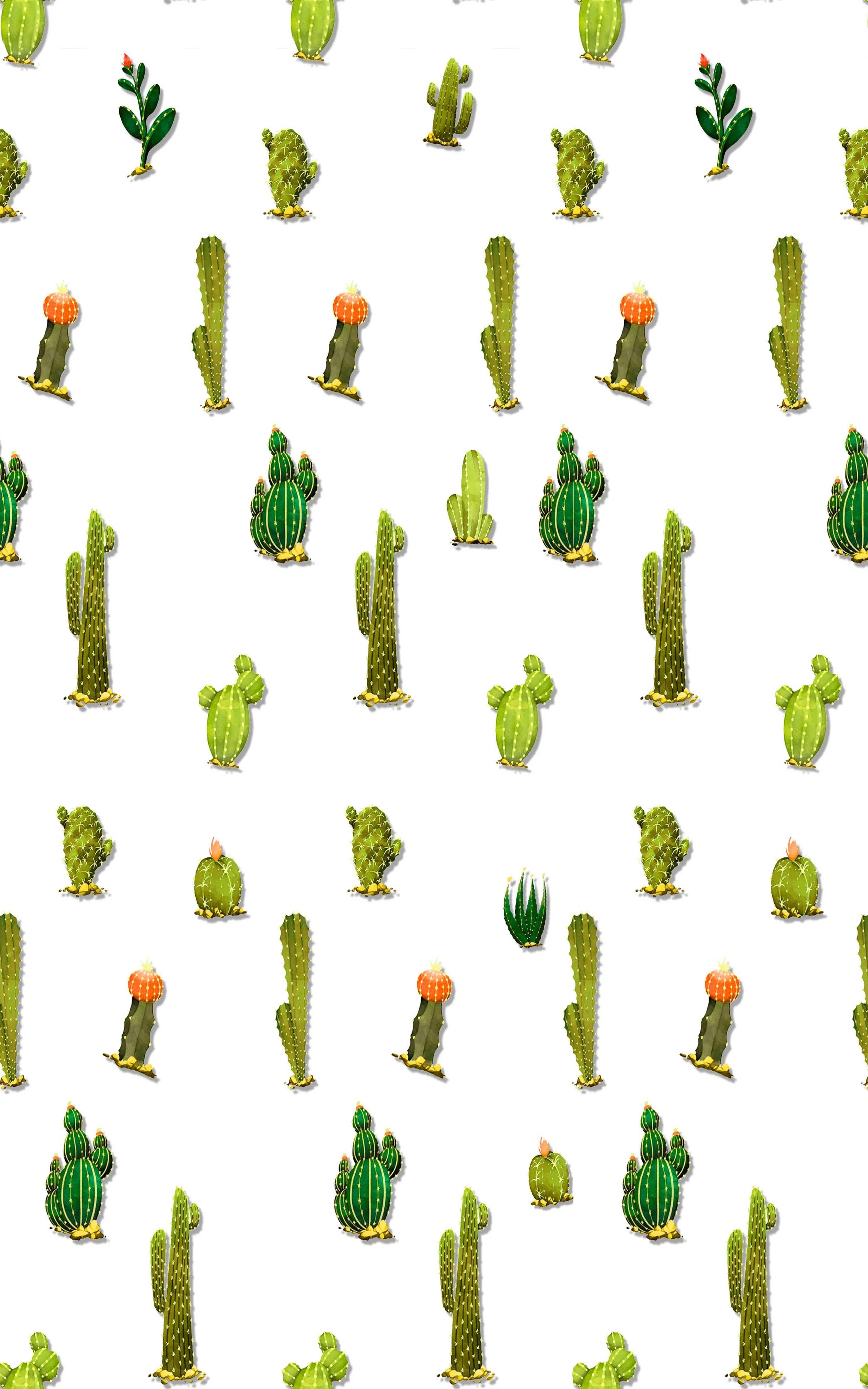 Cactus Print Wallpapers Top Free Cactus Print Backgrounds