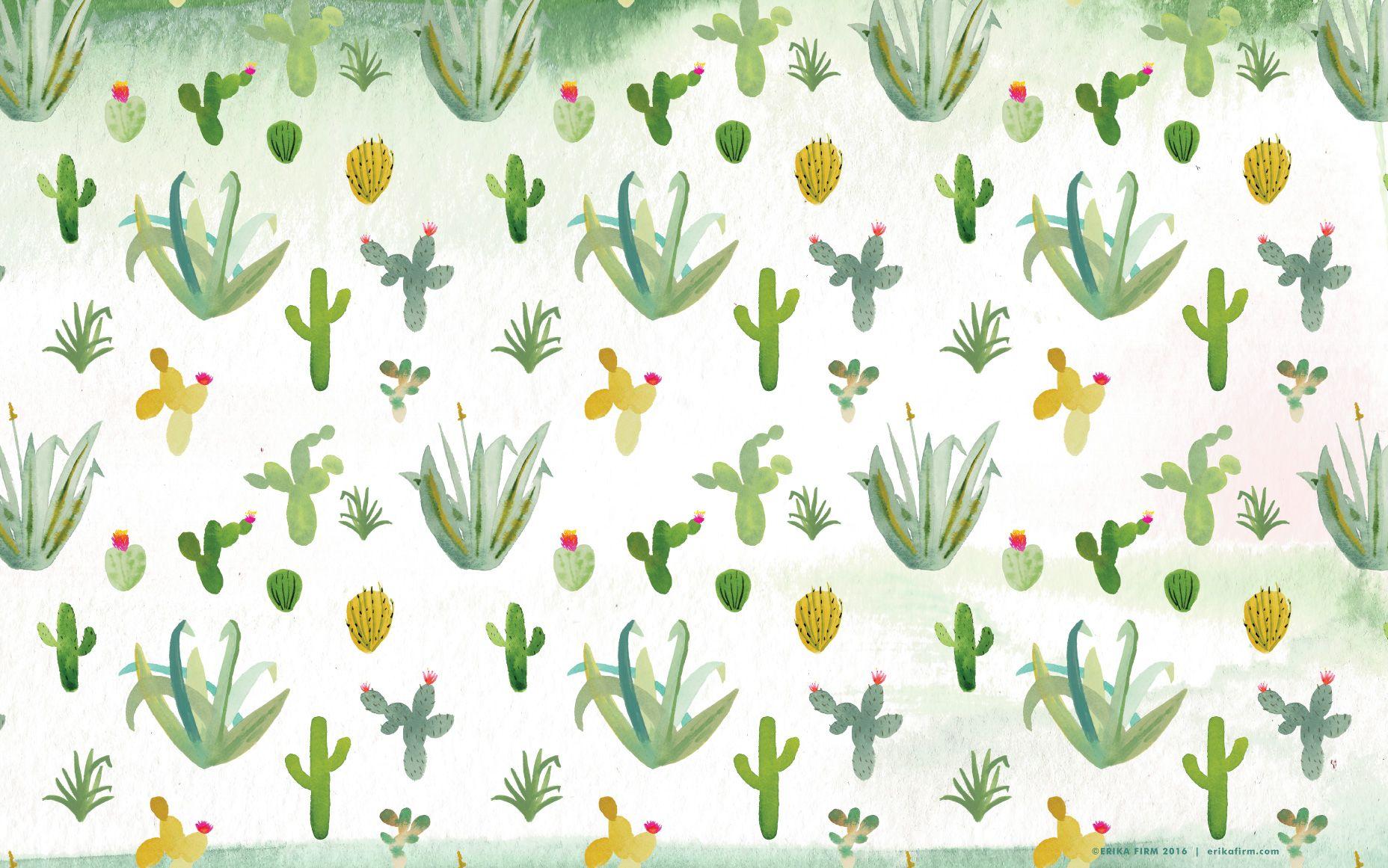 Cactus Print Wallpapers Top Free Cactus Print Backgrounds
