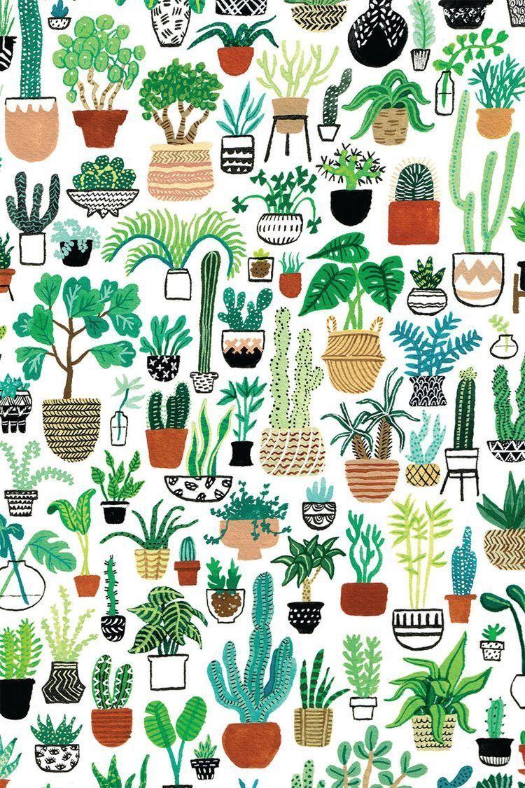 Cactus Print Wallpapers Top Free Cactus Print Backgrounds
