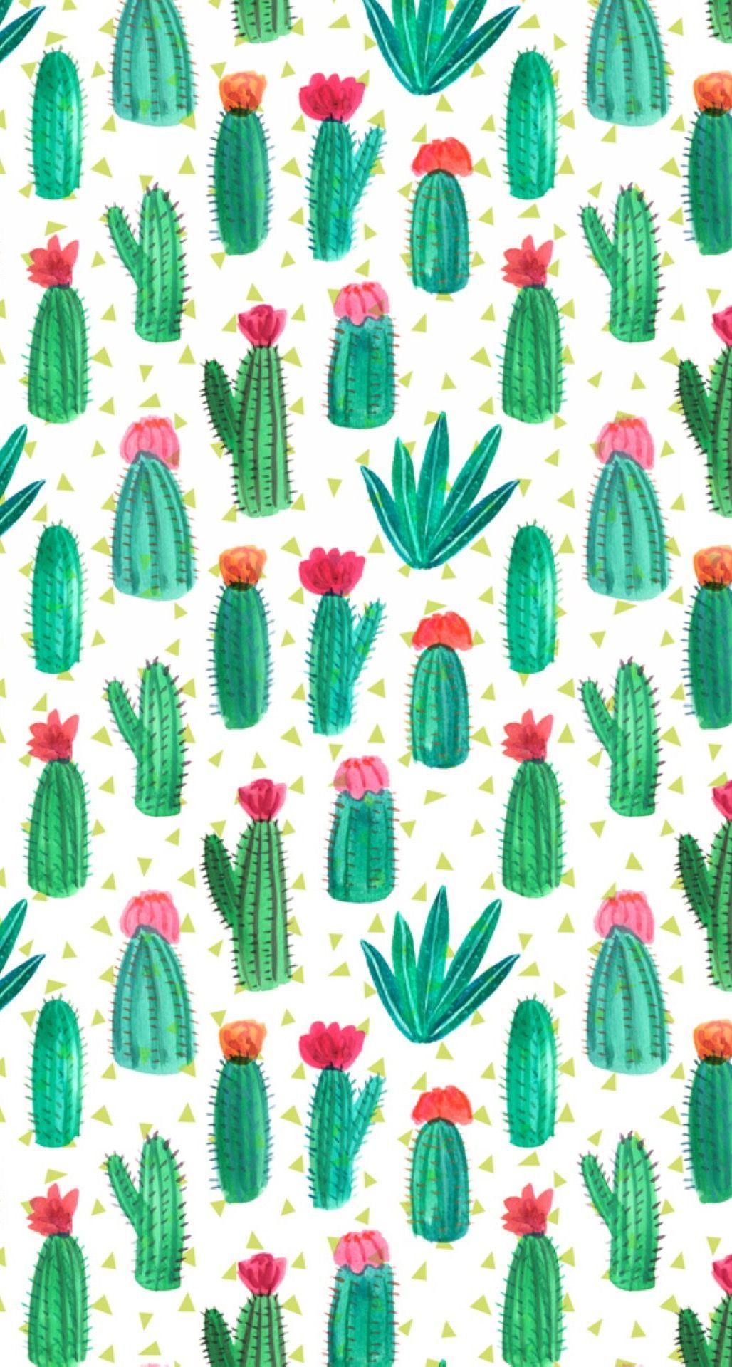 Cactus Print Wallpapers Top Free Cactus Print Backgrounds