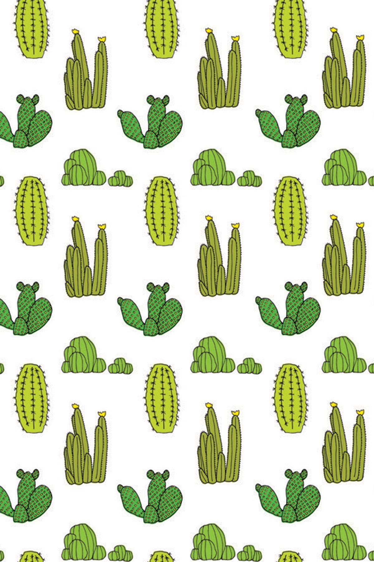 Cactus Print Wallpapers Top Free Cactus Print Backgrounds