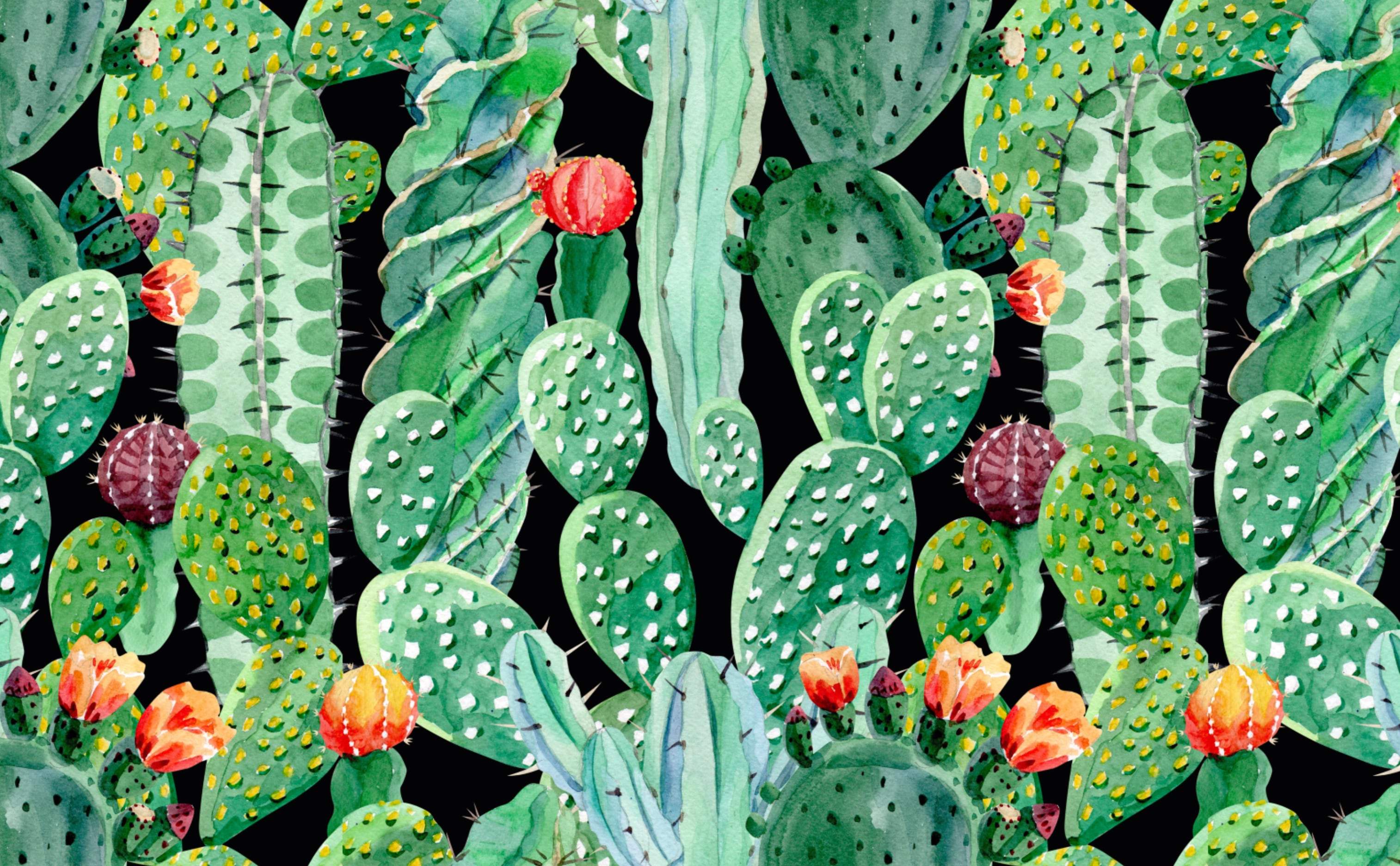 Cactus Print Wallpapers Top Free Cactus Print Backgrounds
