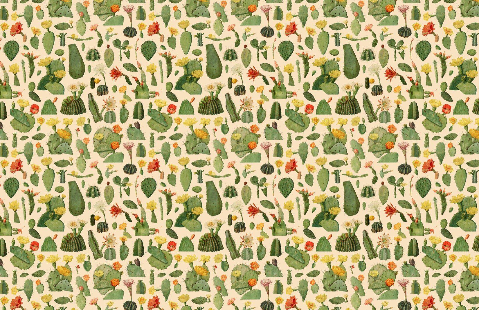 Cactus Print Wallpapers Top Free Cactus Print Backgrounds