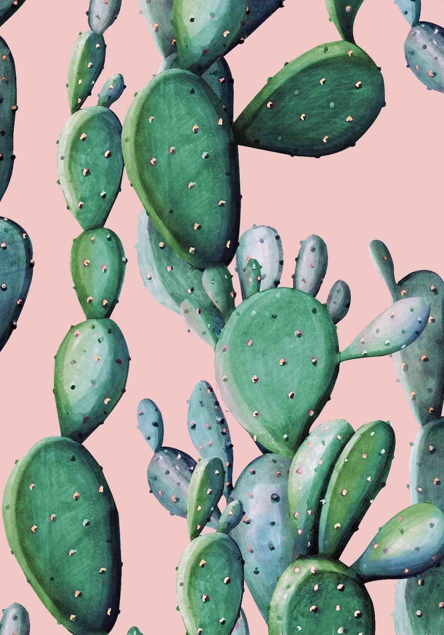 Cactus Print Wallpapers Top Free Cactus Print Backgrounds WallpaperAccess