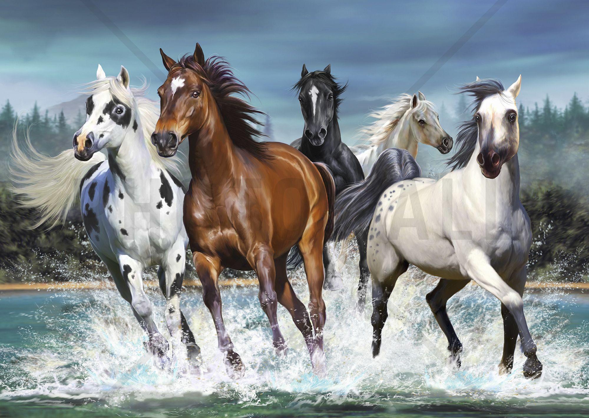 Seven Horses Wallpapers Top Free Seven Horses Backgrounds