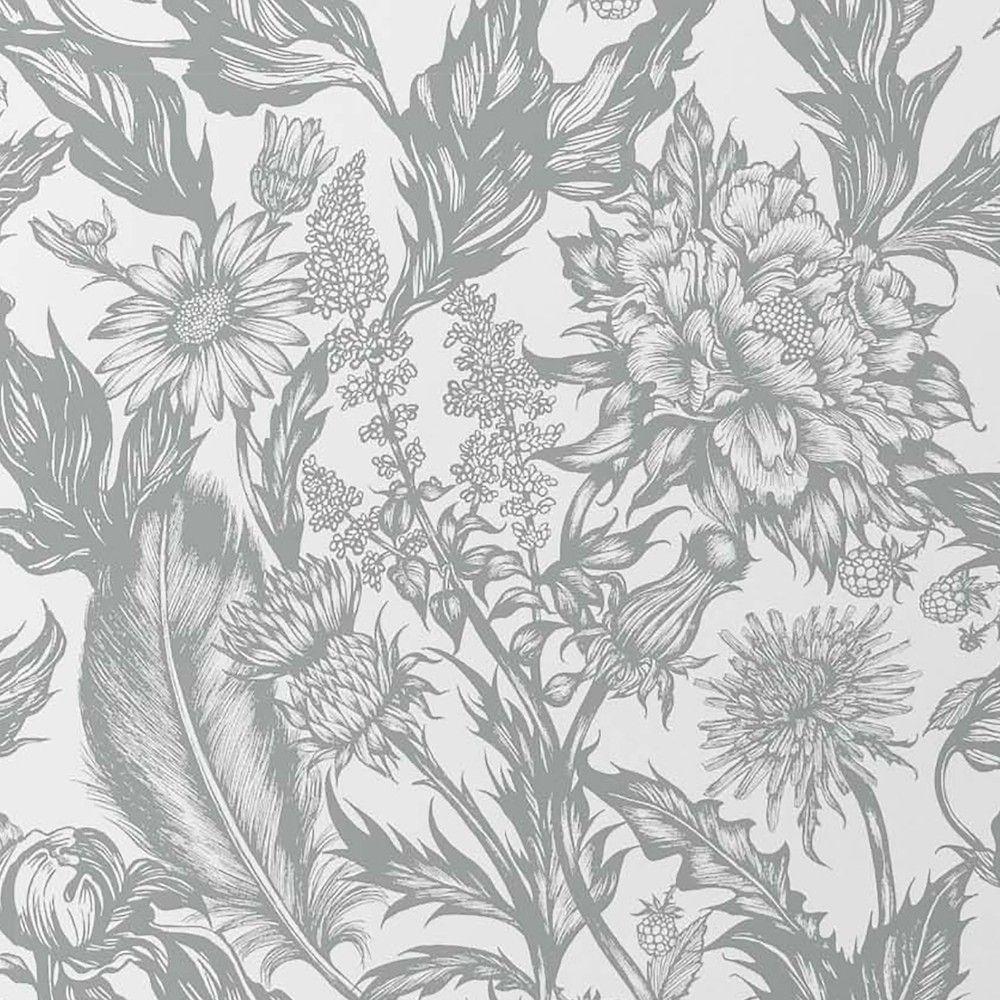 Grey Flowers Wallpapers Top Free Grey Flowers Backgrounds