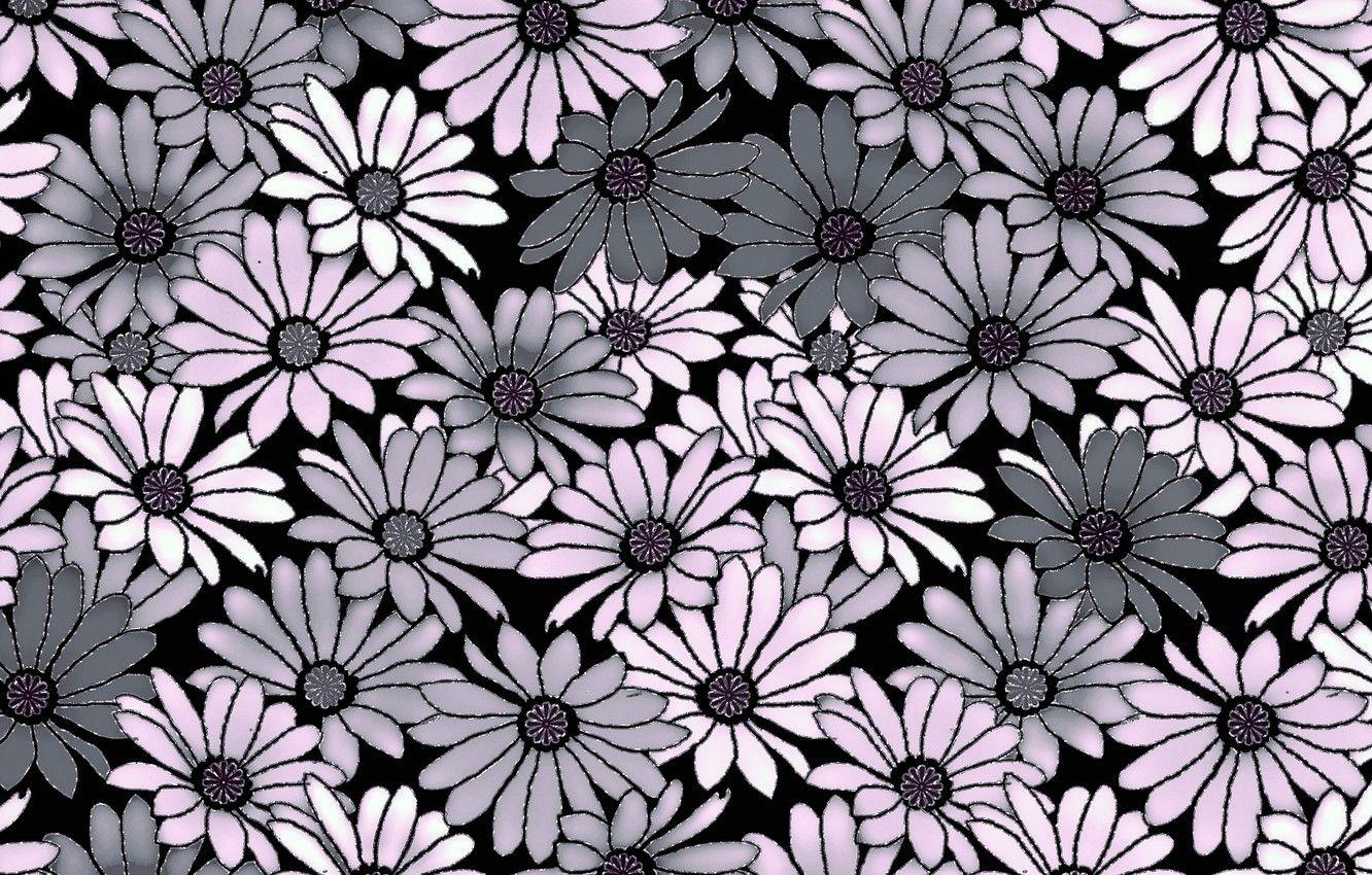 Grey Flowers Wallpapers Top Free Grey Flowers Backgrounds