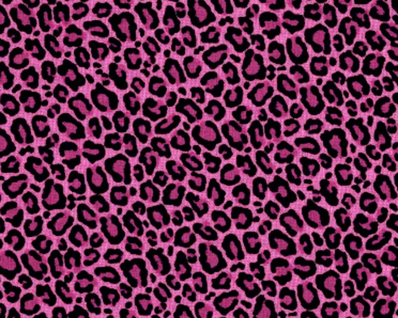 Pink Animal Print Desktop Wallpapers Top Free Pink Animal Print