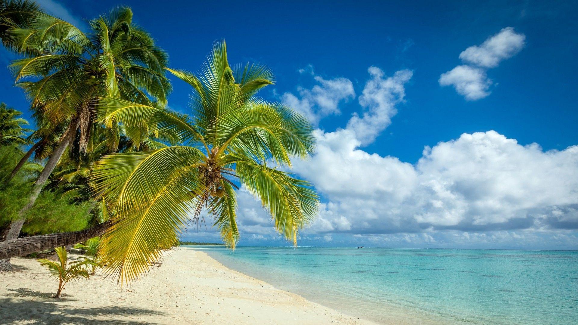 Island Beach Desktop Wallpapers Top Free Island Beach Desktop
