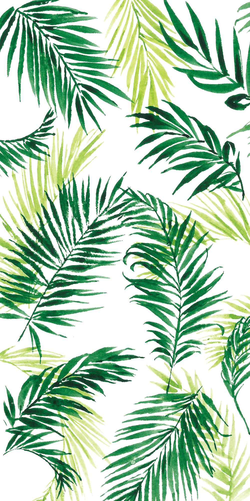 Cute Leaves Wallpapers Top Free Cute Leaves Backgrounds WallpaperAccess