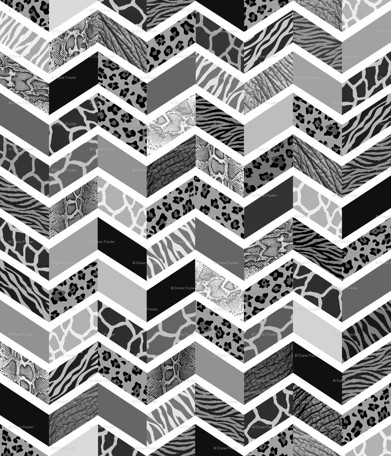 Black and White Animal Print Wallpapers Top Free Black and White