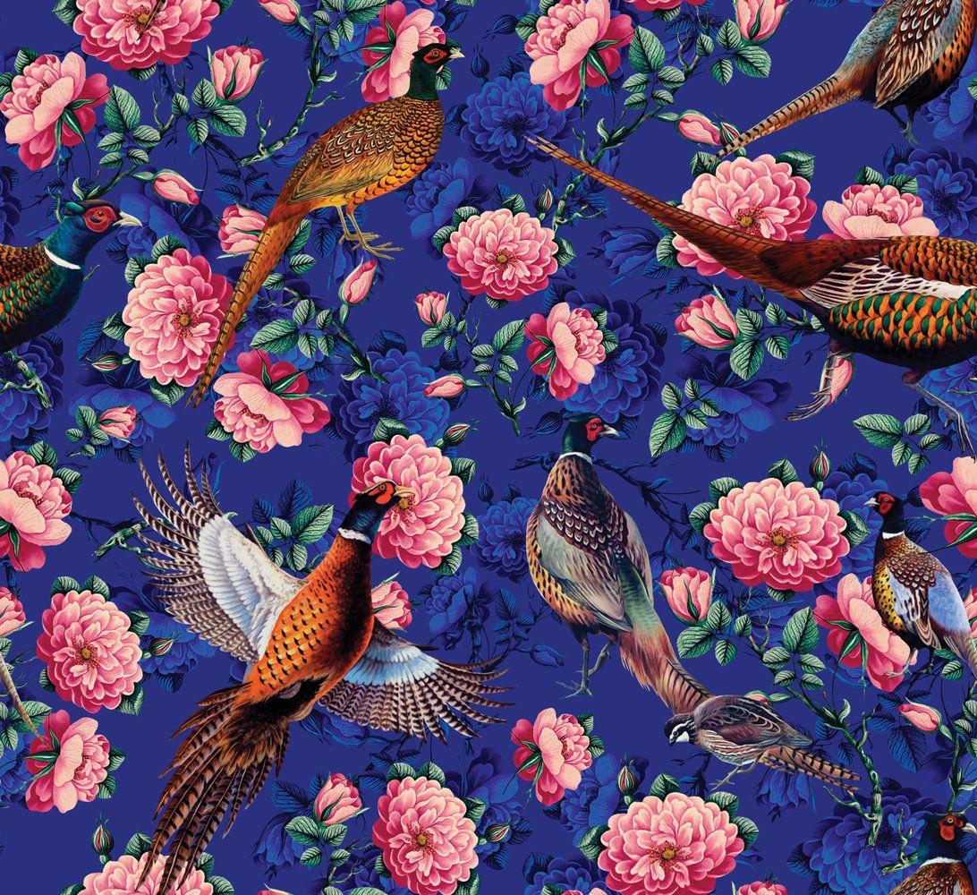 Vintage Bird Wallpapers Top Free Vintage Bird Backgrounds