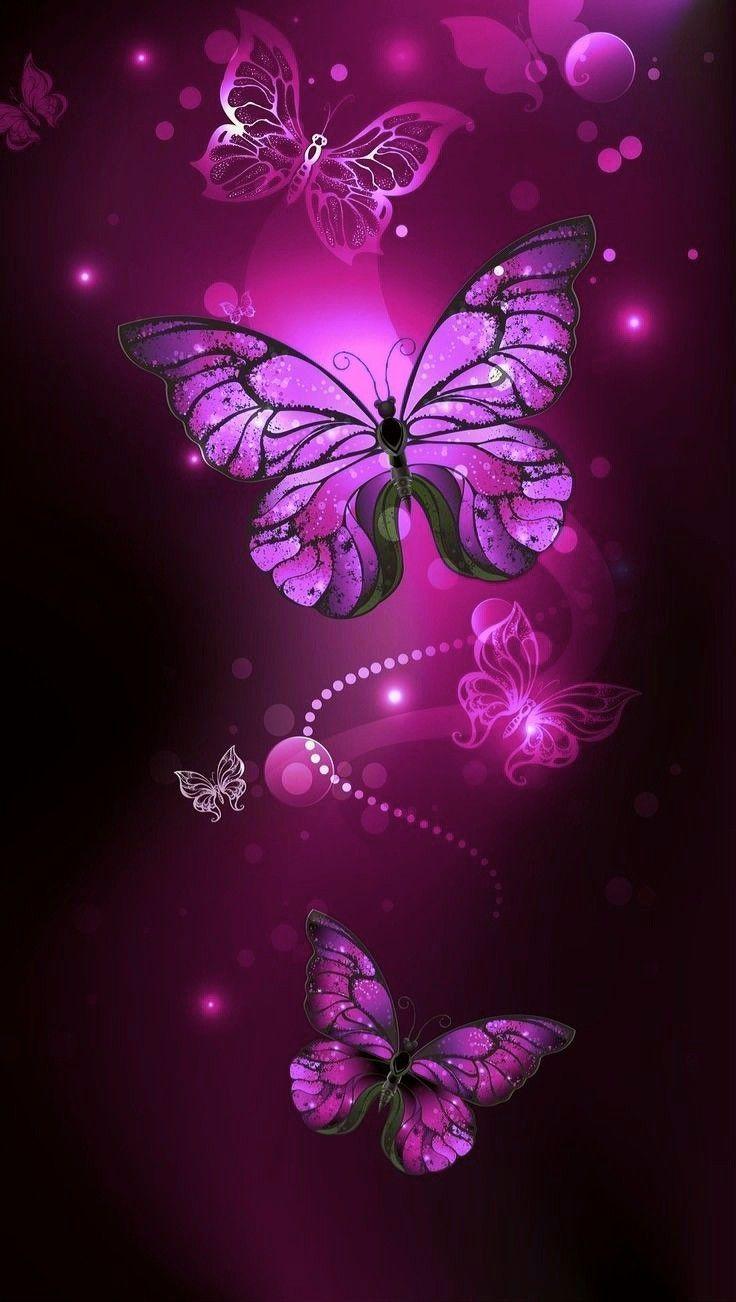 Pink and Purple Butterfly Wallpapers Top Free Pink and Purple