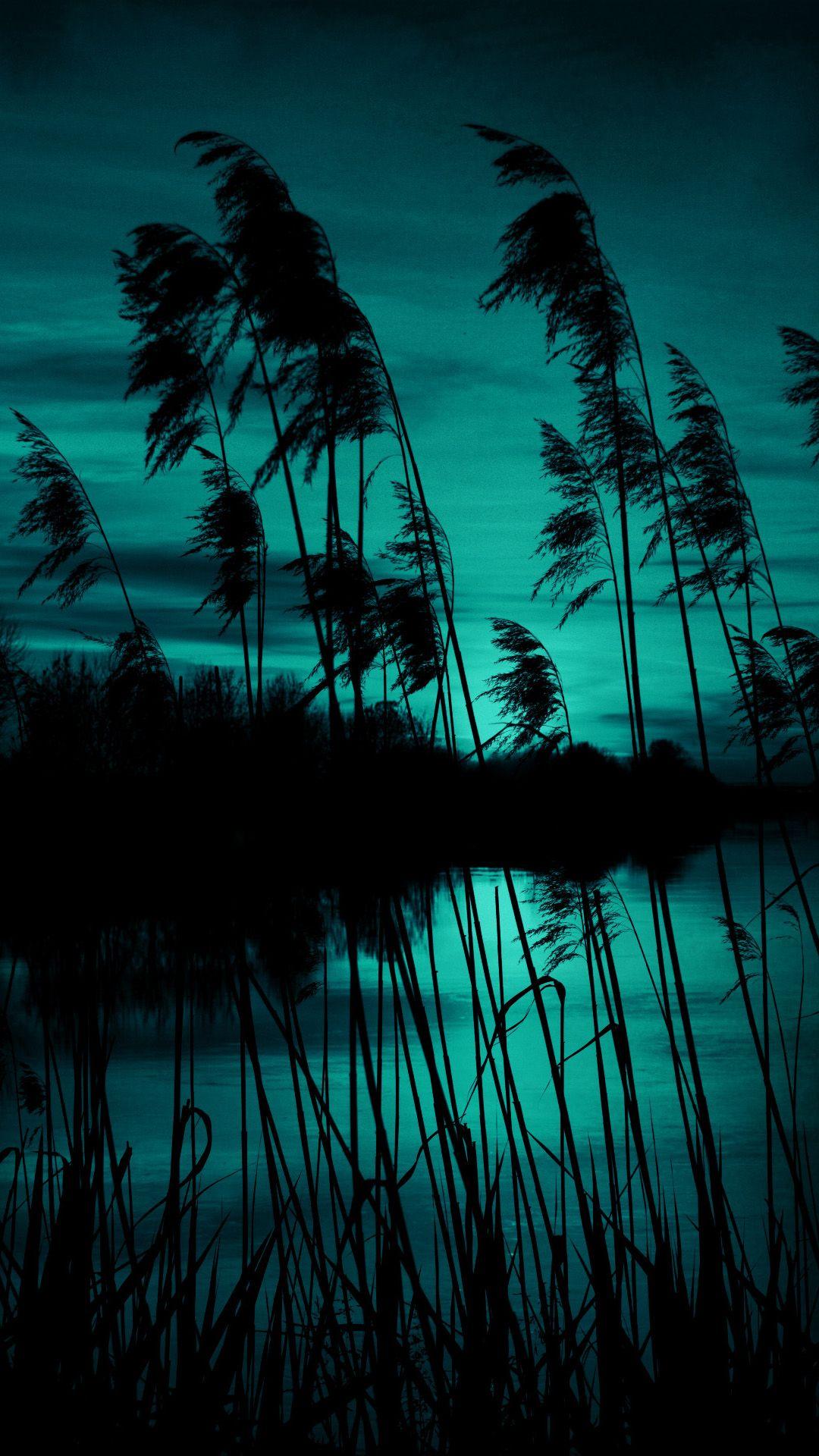 Midnight Green iPhone Wallpapers Top Free Midnight Green iPhone