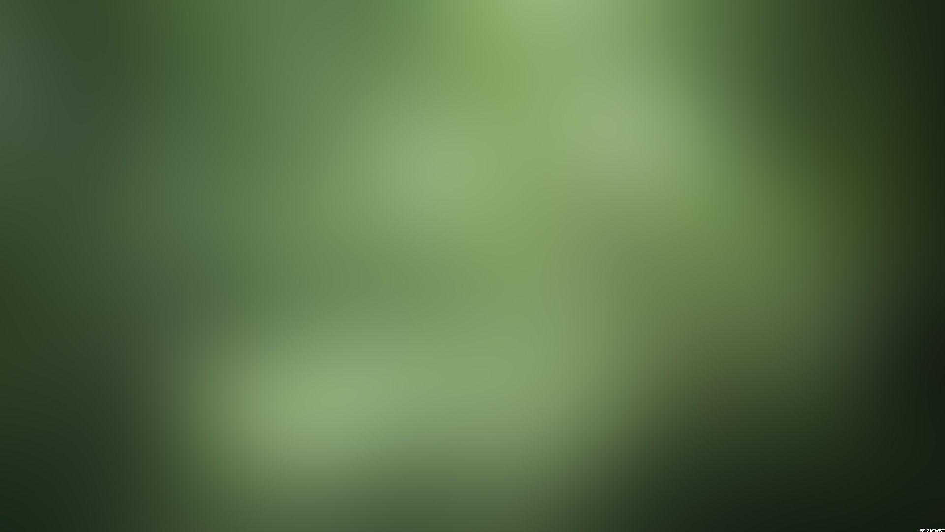 Gray and Green Wallpapers Top Free Gray and Green Backgrounds