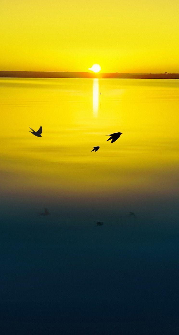 Gold iPhone 5S Wallpapers Top Free Gold iPhone 5S Backgrounds