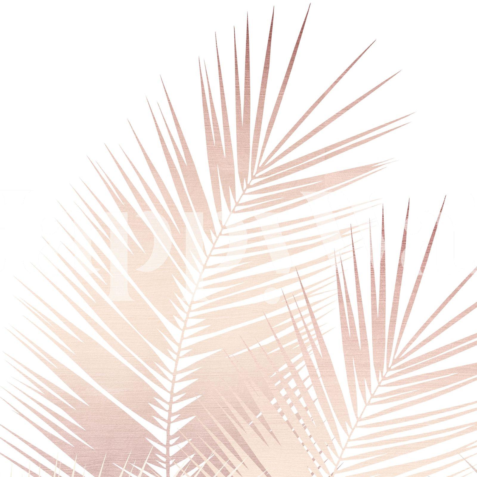 Gold Palm Leaves Wallpapers Top Free Gold Palm Leaves Backgrounds