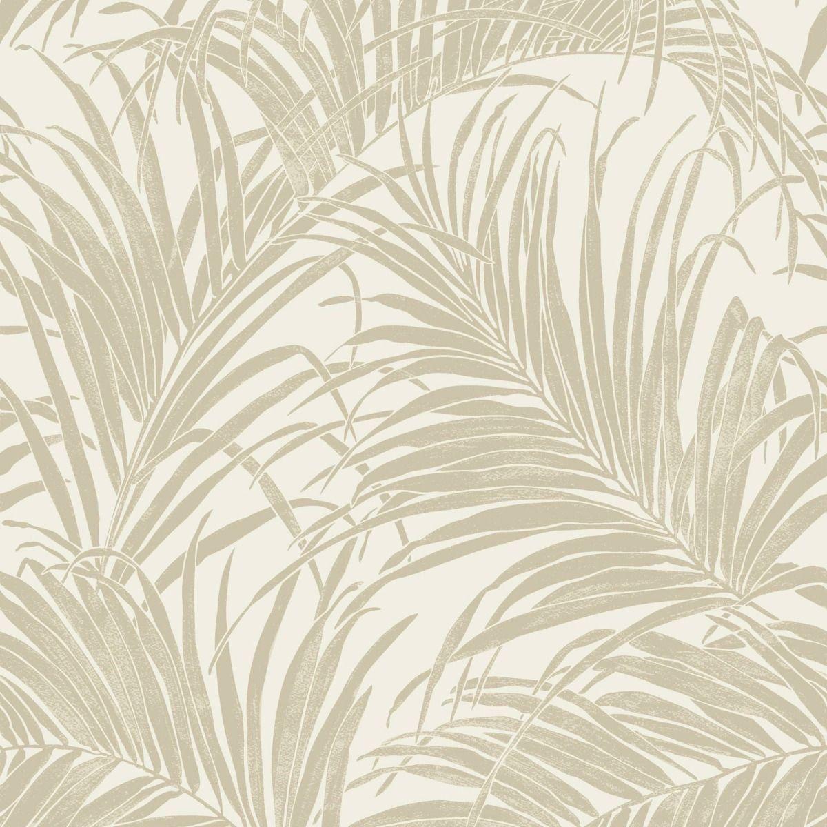 Gold Palm Leaves Wallpapers Top Free Gold Palm Leaves Backgrounds
