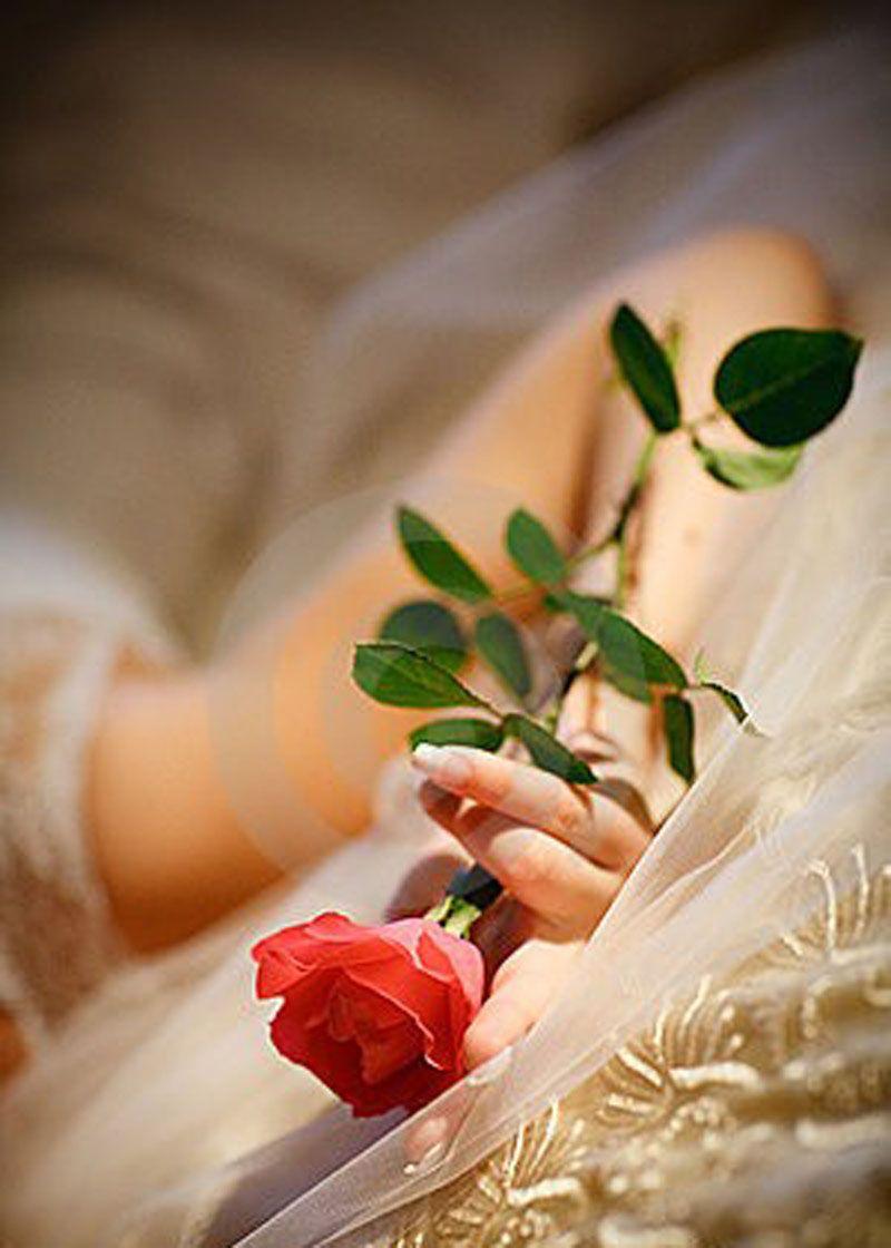 Romantic Love Flowers Wallpapers Top Free Romantic Love Flowers