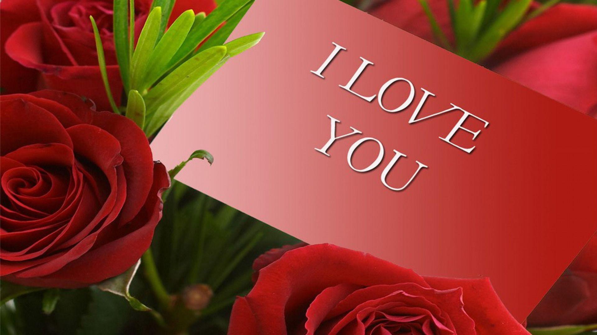 Love Rose HD Wallpapers Top Free Love Rose HD Backgrounds