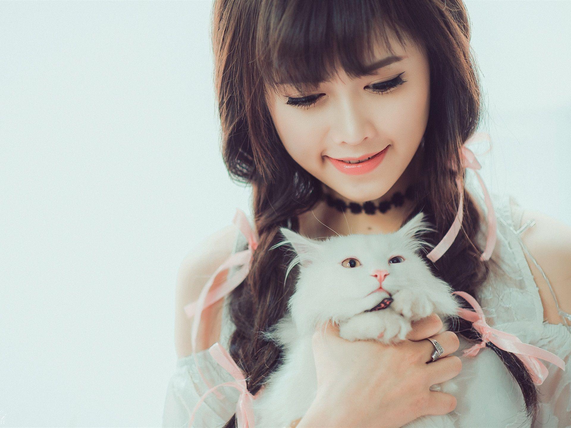 Cute Korean Cat Wallpapers Top Free Cute Korean Cat Backgrounds
