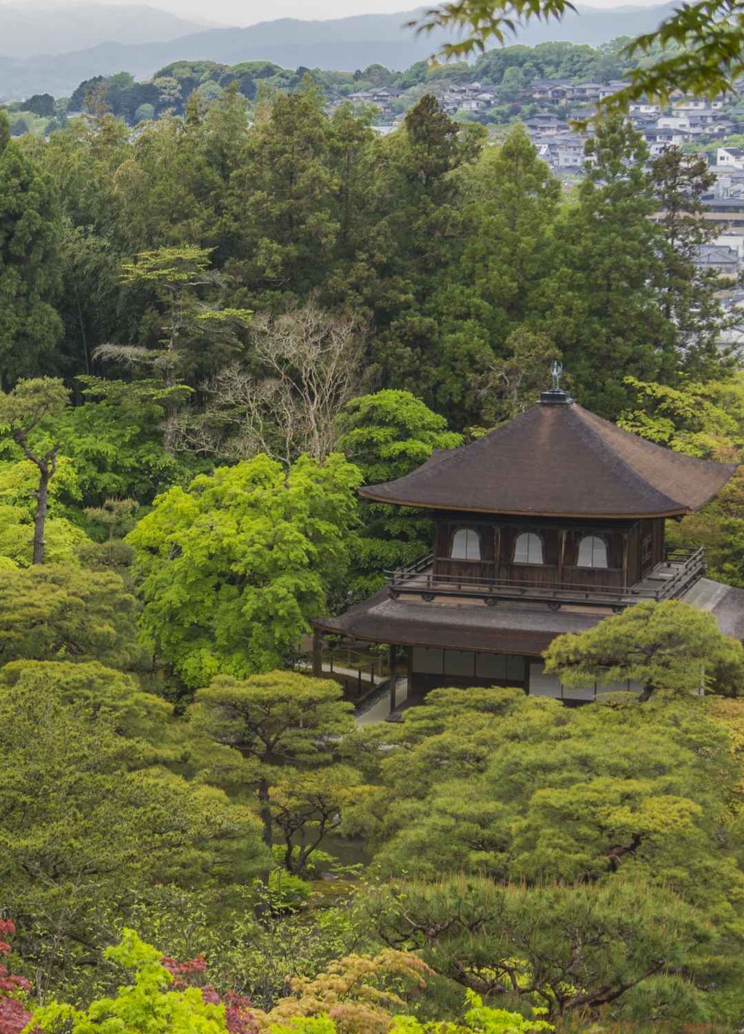 Zen Garden iPhone Wallpapers Top Free Zen Garden iPhone Backgrounds