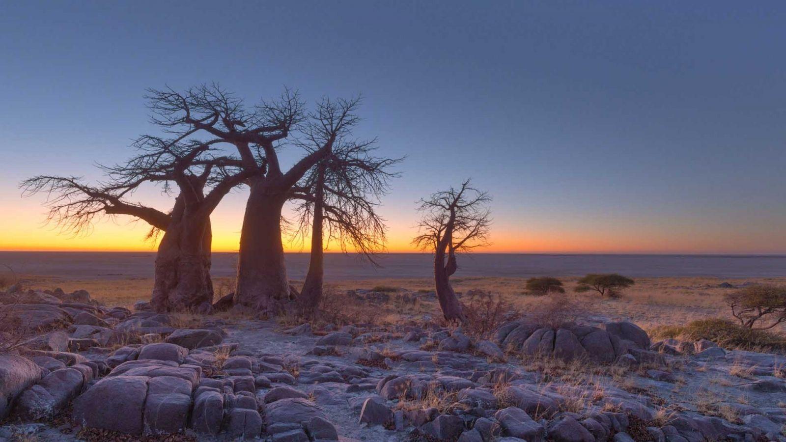 Botswana Wallpapers Top Free Botswana Backgrounds WallpaperAccess