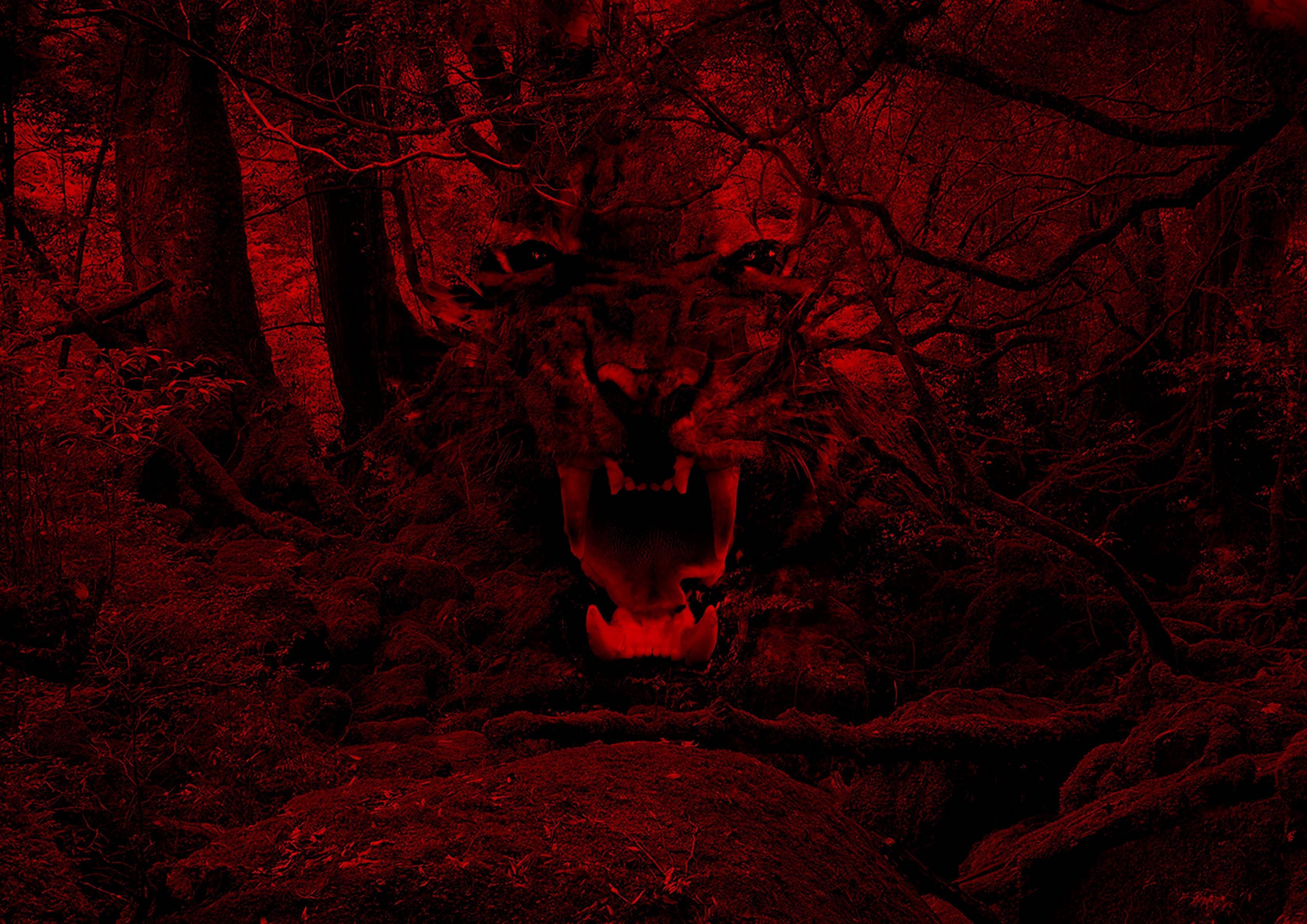 Red Tiger Wallpapers Top Free Red Tiger Backgrounds WallpaperAccess