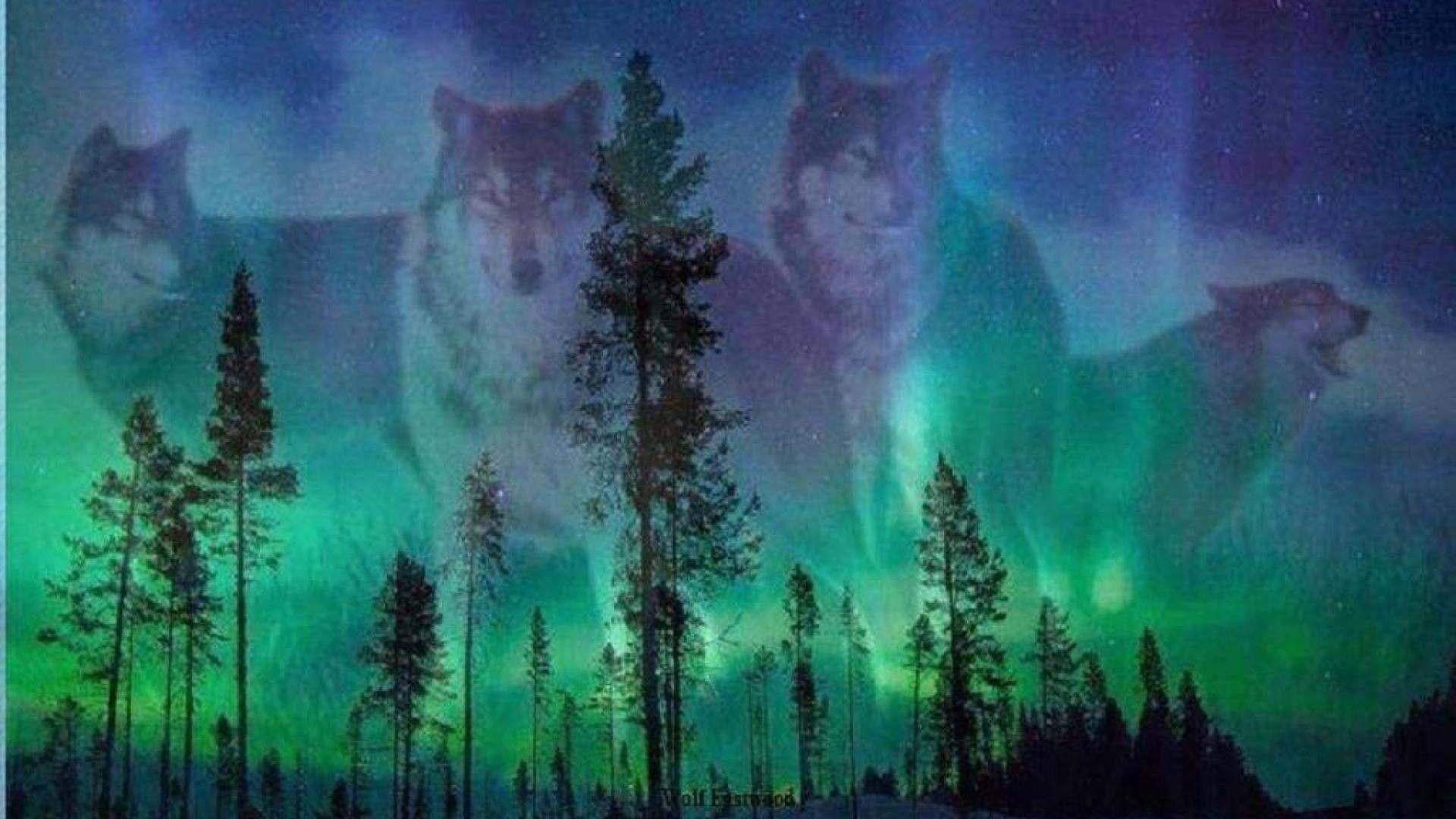 Blue Northern Lights Wolf