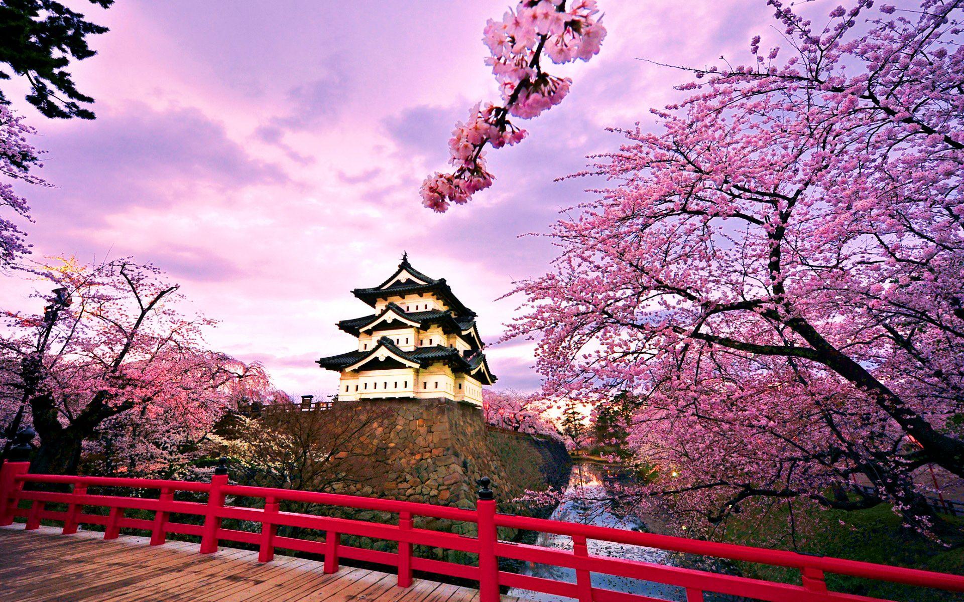 Osaka Japan Wallpapers Top Free Osaka Japan Backgrounds WallpaperAccess
