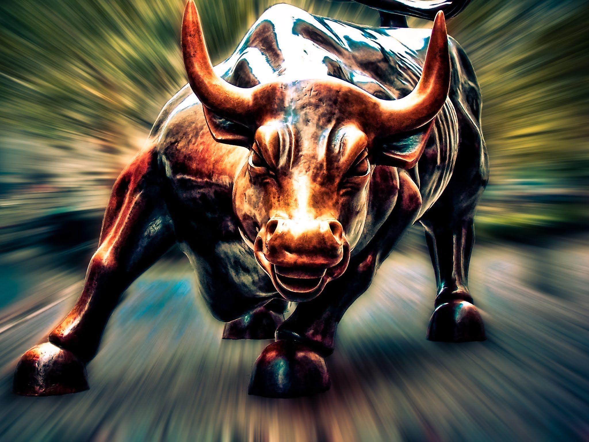 Bull and Bear Wallpapers Top Free Bull and Bear Backgrounds