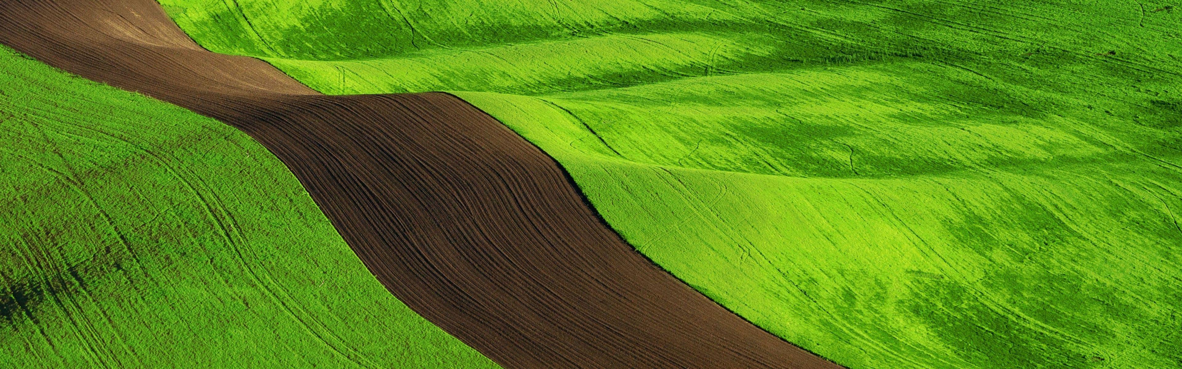 Green and Brown Wallpapers Top Free Green and Brown Backgrounds