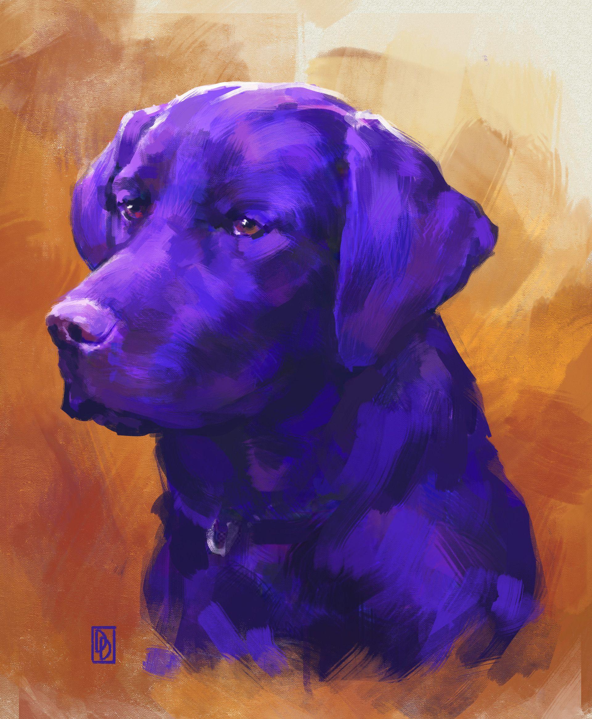 Purple Dog Wallpapers Top Free Purple Dog Backgrounds WallpaperAccess