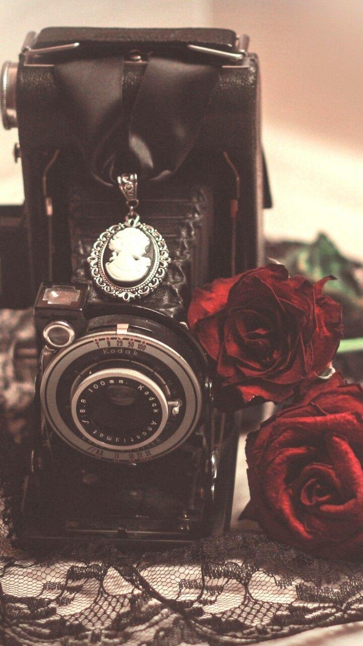 Red Rose Vintage Wallpapers Top Free Red Rose Vintage Backgrounds