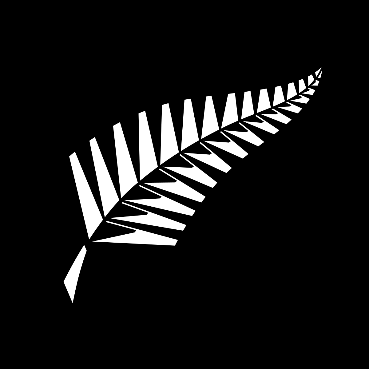 New Zealand All Blacks Wallpapers Top Free New Zealand All Blacks