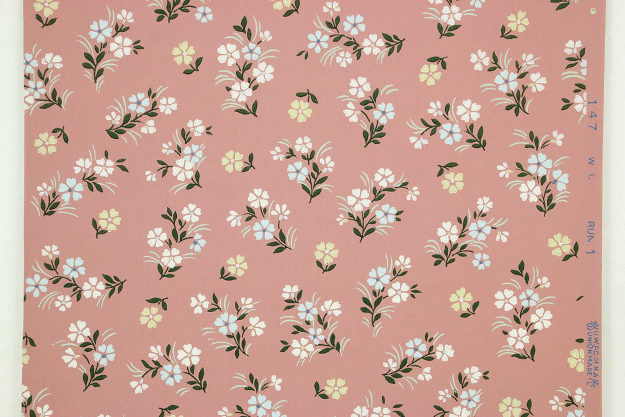 Small Flower Wallpapers Top Free Small Flower Backgrounds