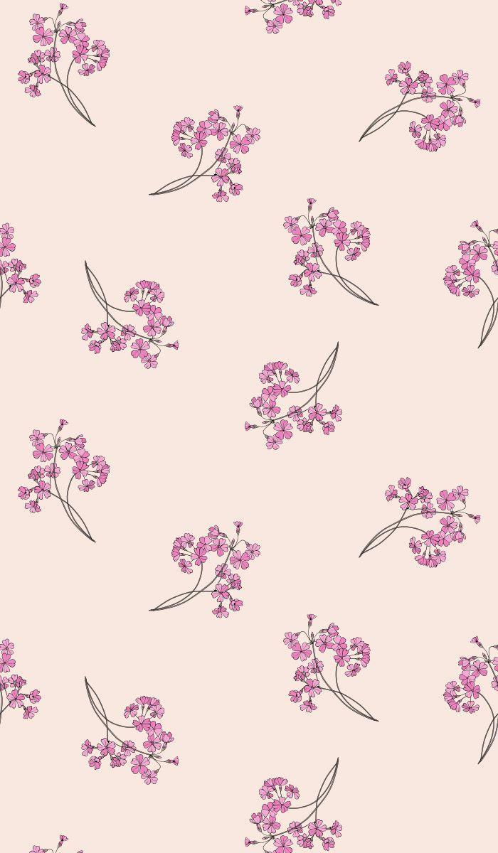Small Flower Wallpapers Top Free Small Flower Backgrounds