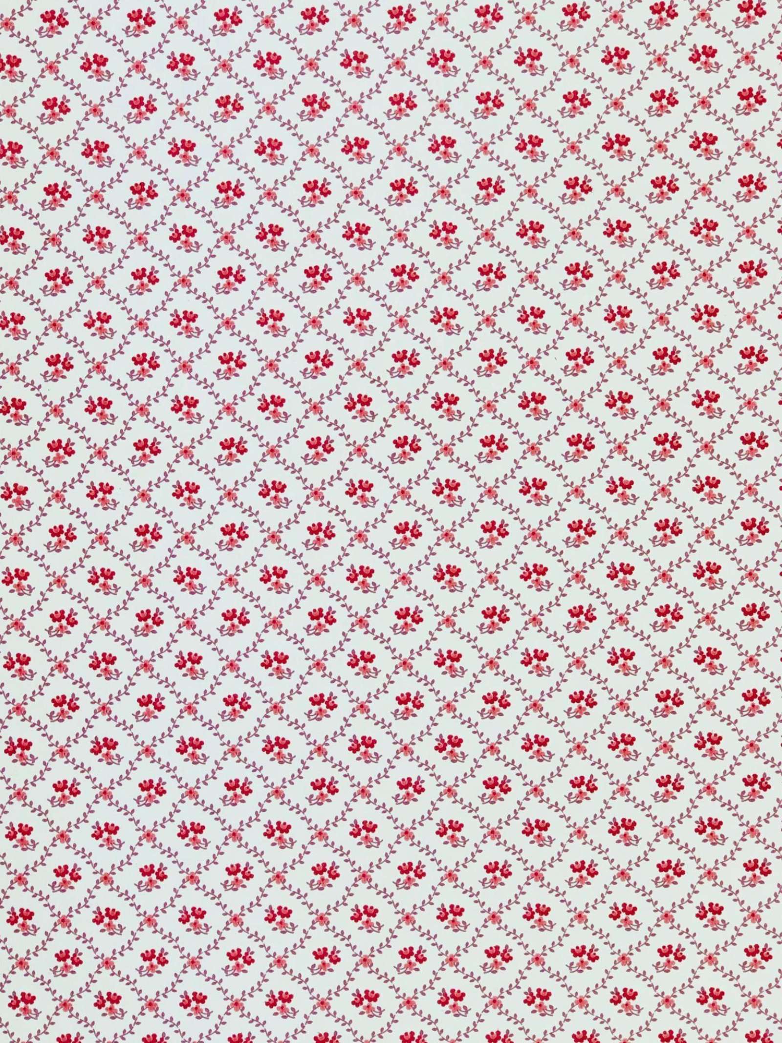 Small Flower Wallpapers Top Free Small Flower Backgrounds