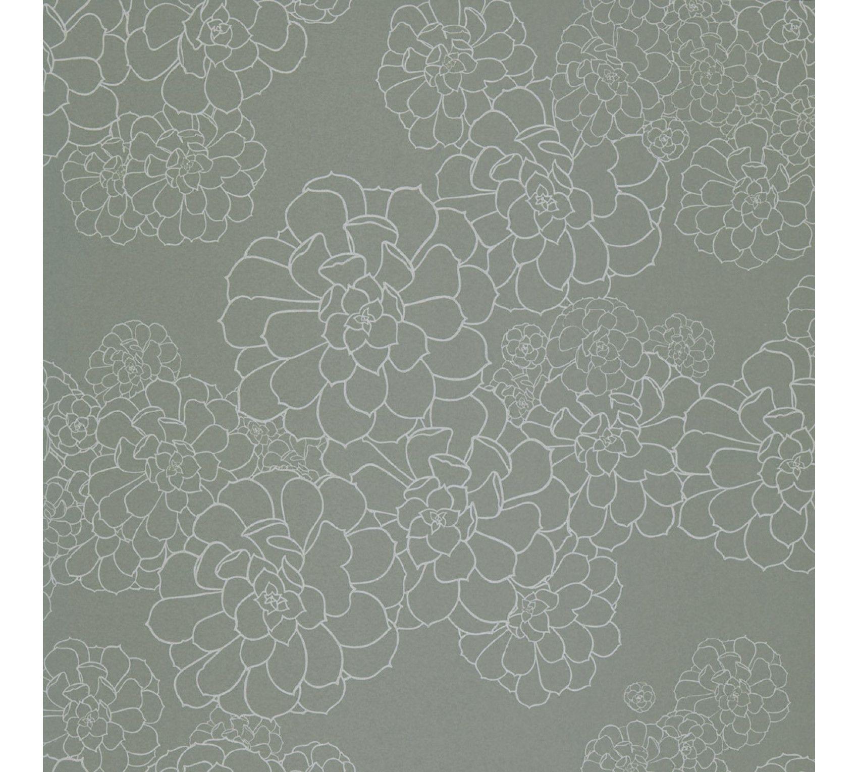 Grey Green Wallpapers Top Free Grey Green Backgrounds WallpaperAccess