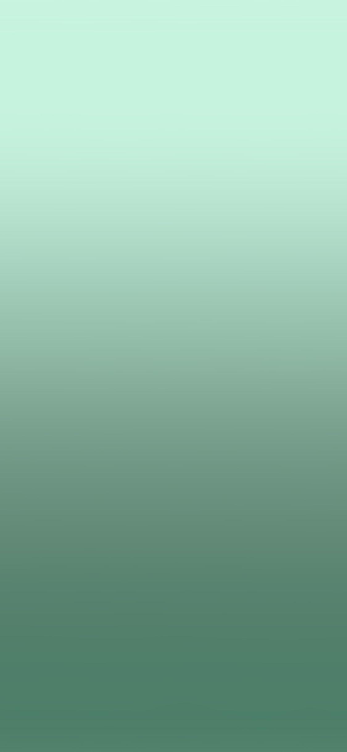 Grey Green Wallpapers Top Free Grey Green Backgrounds WallpaperAccess