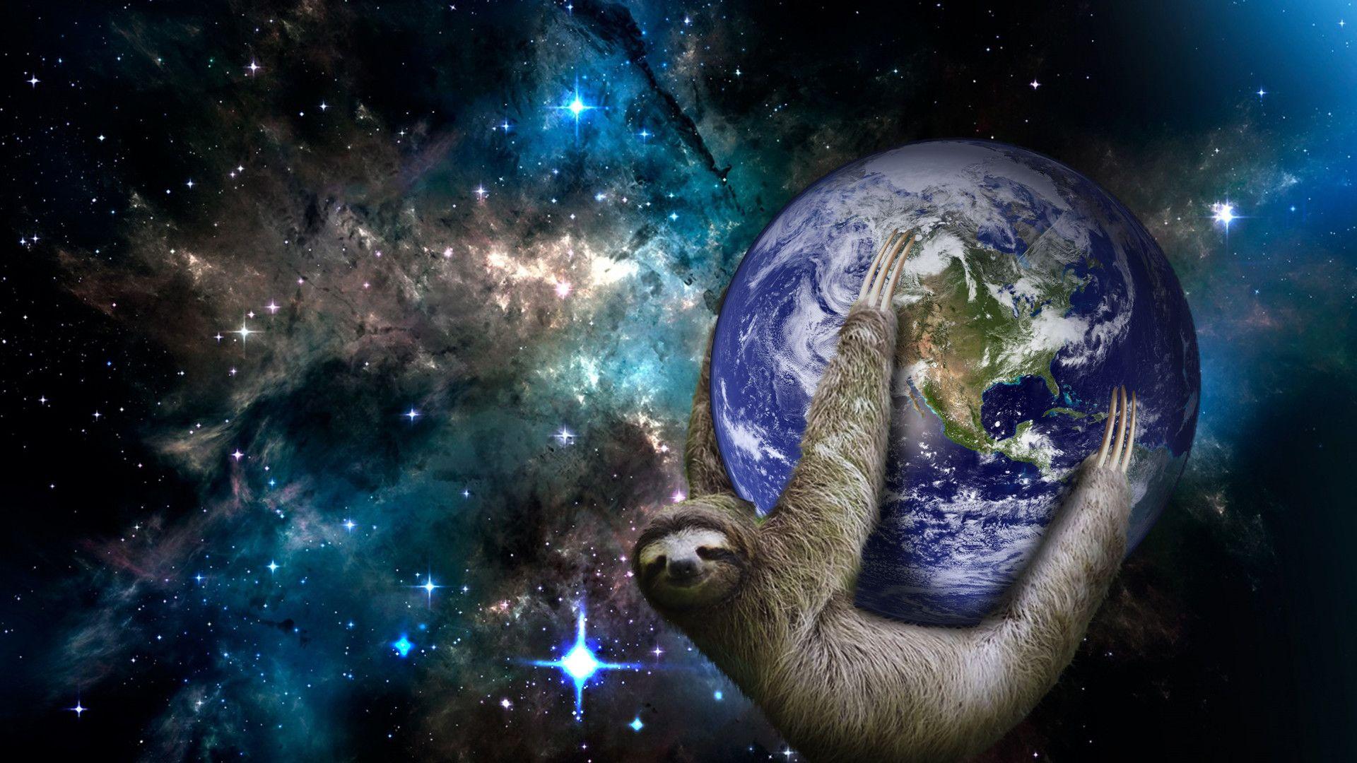 Space Animals Wallpapers Top Free Space Animals Backgrounds