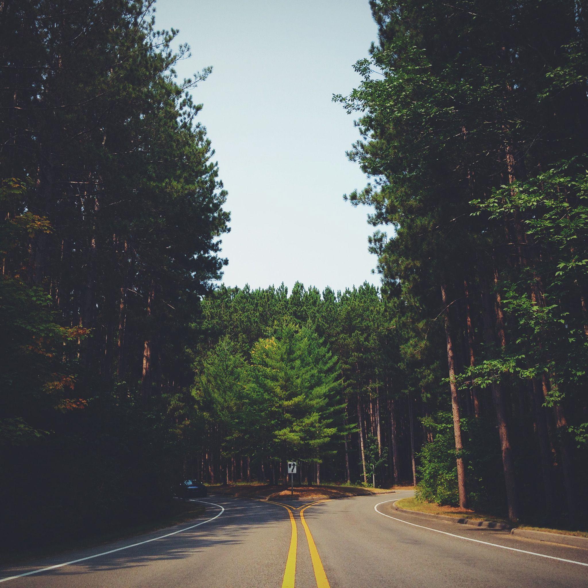 Forest iPad Wallpapers Top Free Forest iPad Backgrounds WallpaperAccess