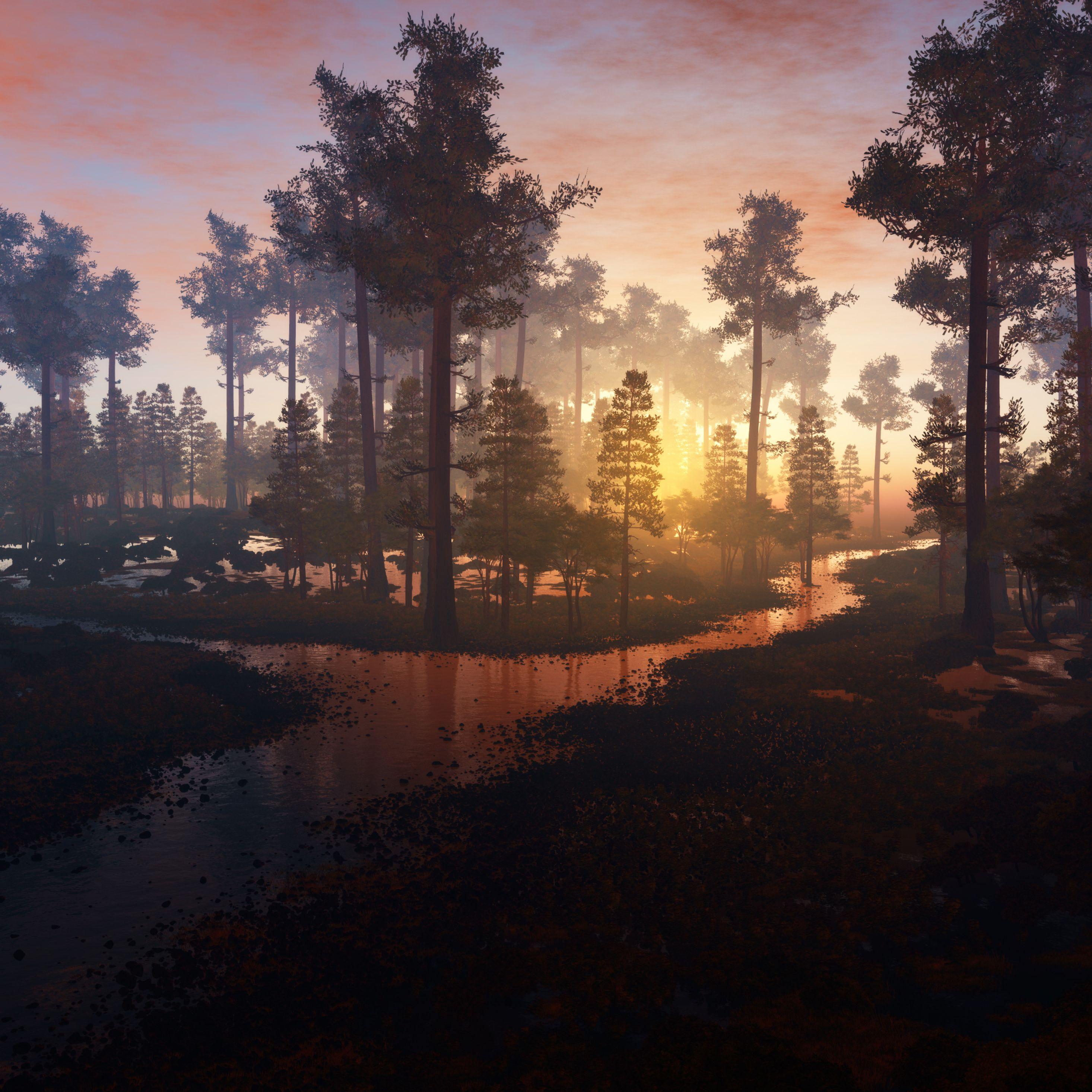 Forest iPad Wallpapers Top Free Forest iPad Backgrounds WallpaperAccess