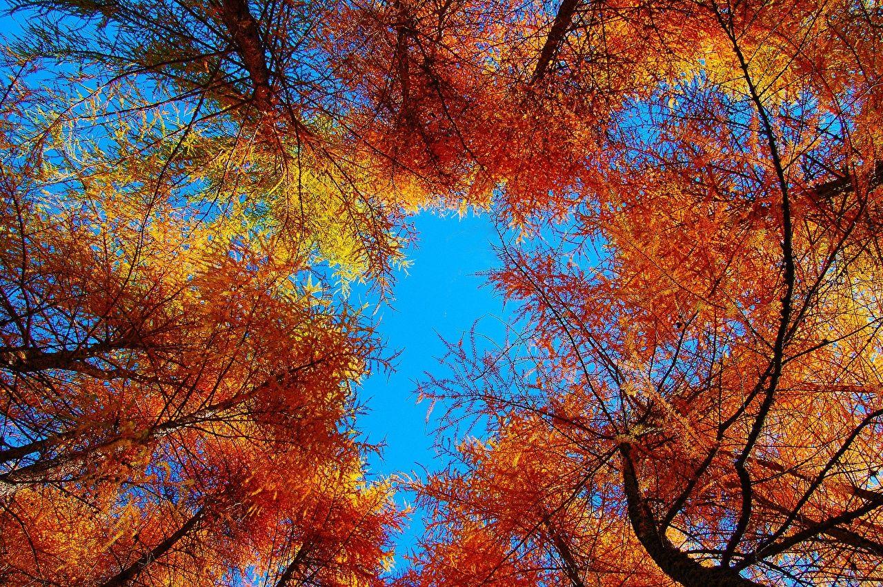 Autumn Sky Wallpapers Top Free Autumn Sky Backgrounds WallpaperAccess