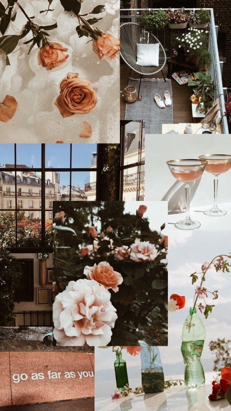 Spring Collage Wallpapers Top Free Spring Collage Backgrounds