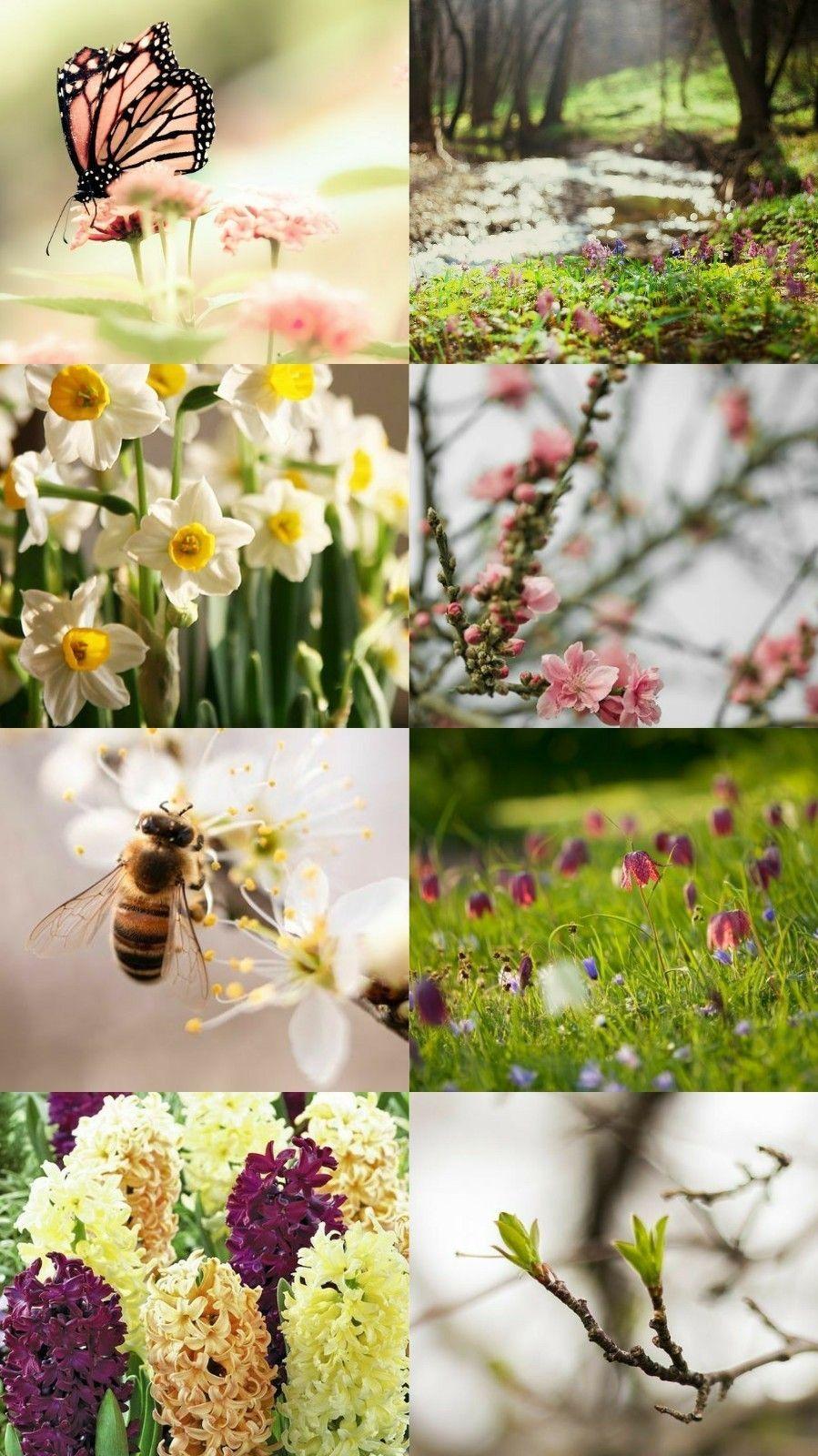 Spring Collage Wallpapers Top Free Spring Collage Backgrounds